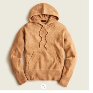 J. Crew Soft Wool Hoodie
